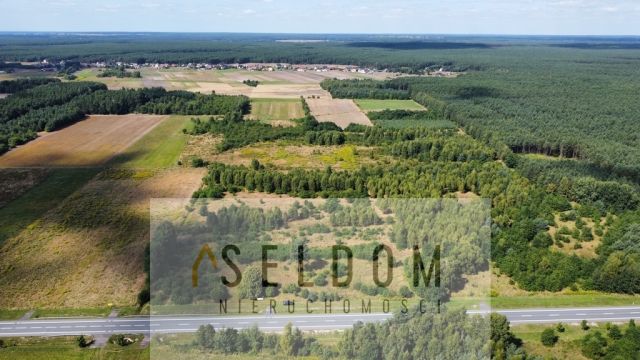 Działka inwestycyjna Grodziec. Zdjęcie 13