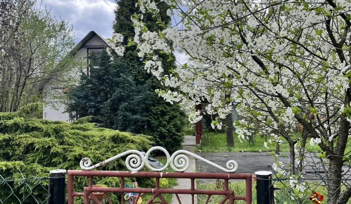 Działka rod Stalowa Wola Pławo, ul. Działkowa