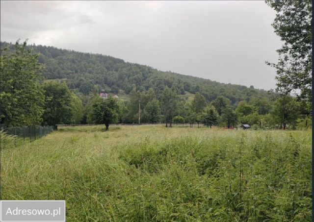Działka rolno-budowlana Lachowice. Zdjęcie 1