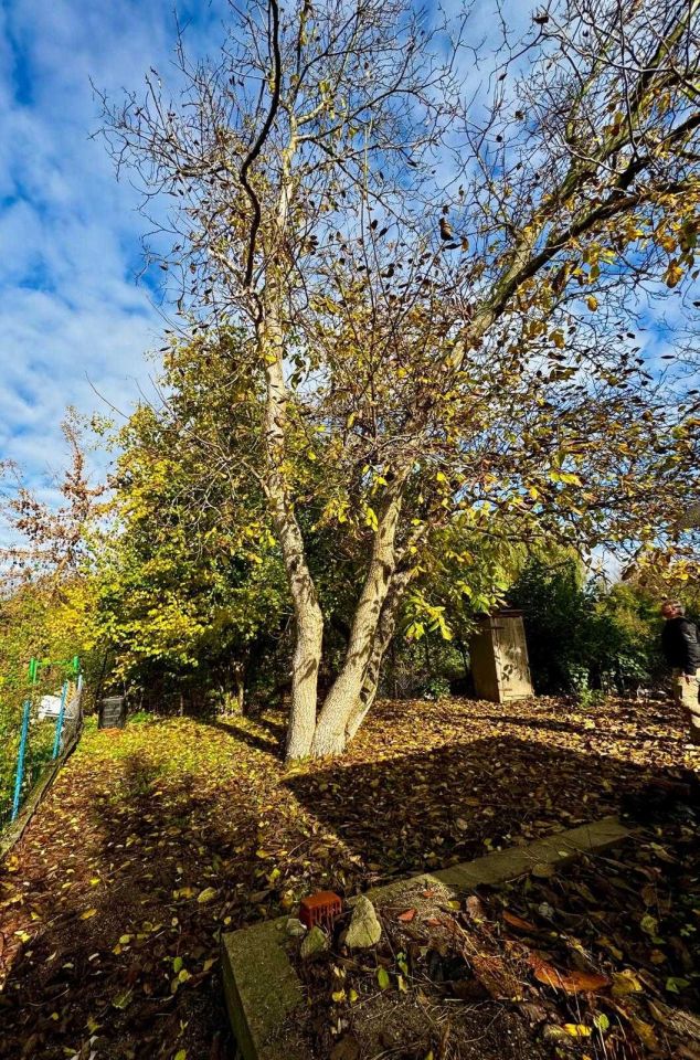 Działka rod Włocławek. Zdjęcie 7