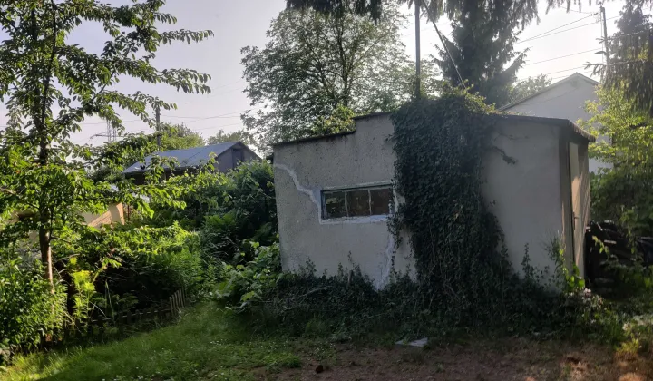 Działka rod Czeladź Piaski, ul. Józefa Poniatowskiego