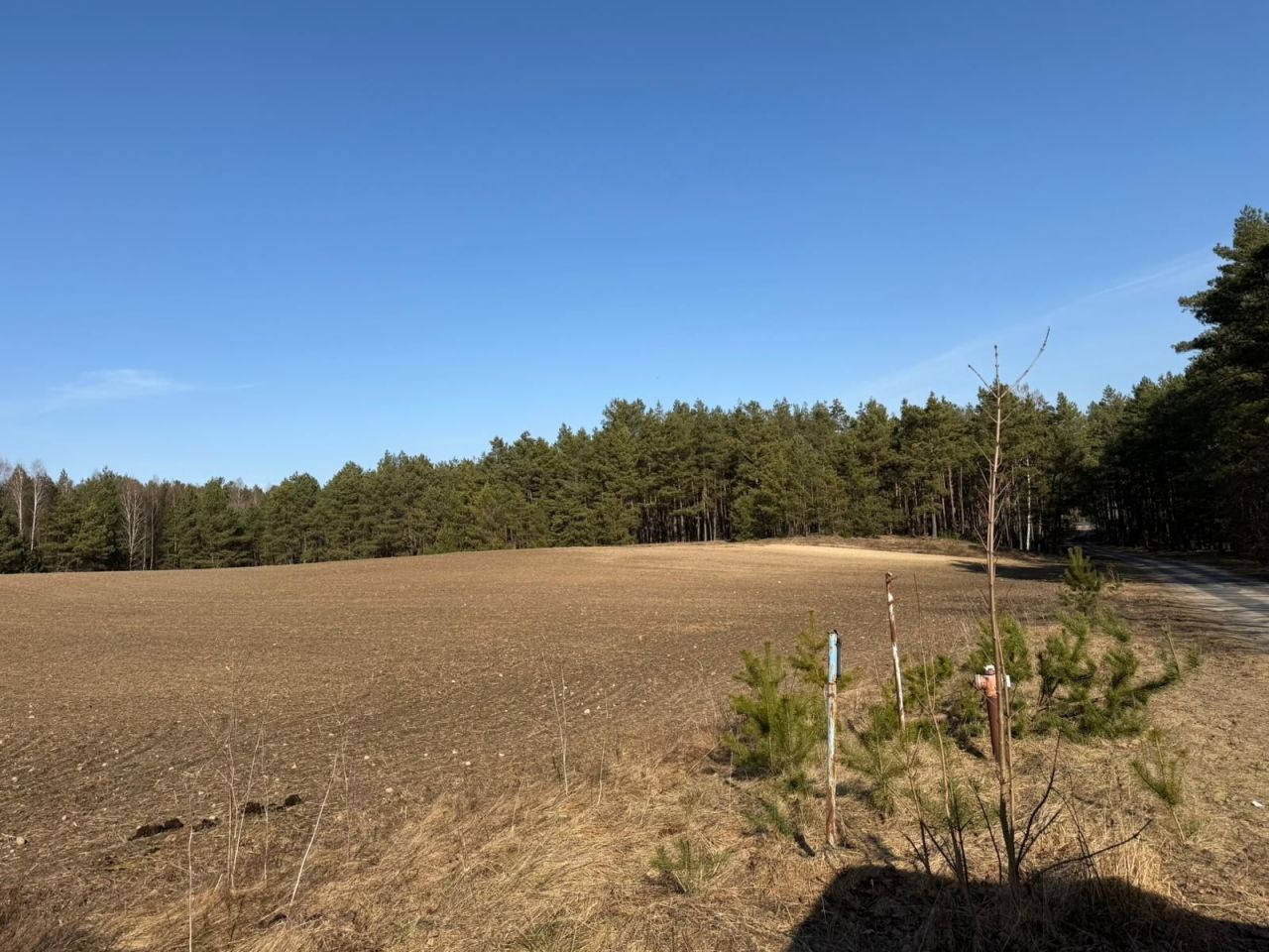 Działka rolna Czarna Woda Huta Kalna. Zdjęcie 3