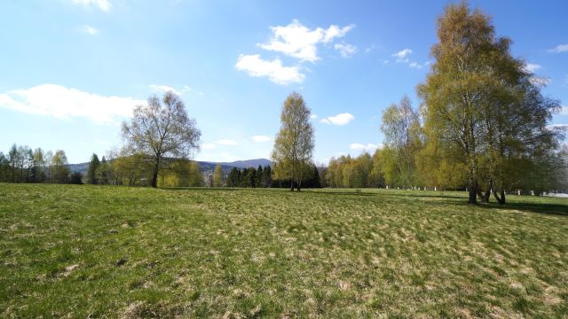 Działka inwestycyjna Wysowa-Zdrój. Zdjęcie 8