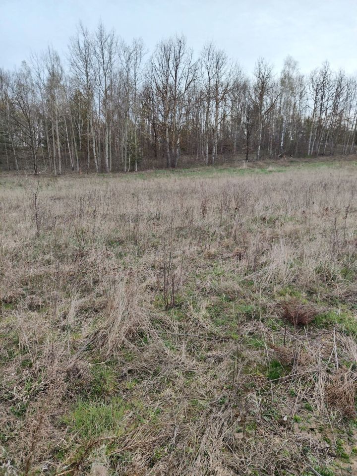 Działka budowlana Ossowice. Zdjęcie 7