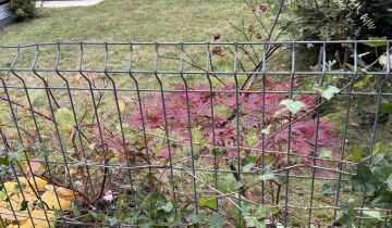 Mieszkanie 3-pokojowe Bielany Wrocławskie, ul. Ogrodowa