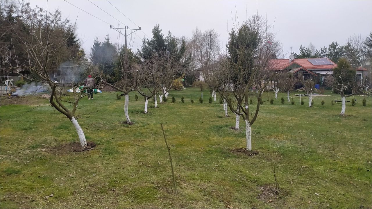 Działka siedliskowa Ząbrowo, ul. Polna. Zdjęcie 4