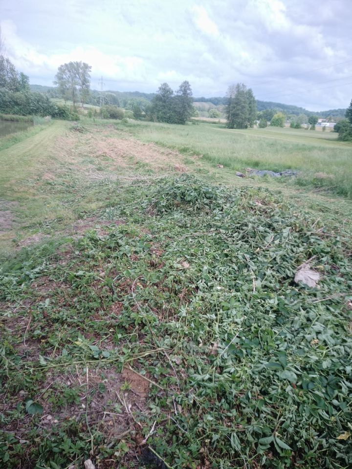 Działka budowlana Bononia. Zdjęcie 2