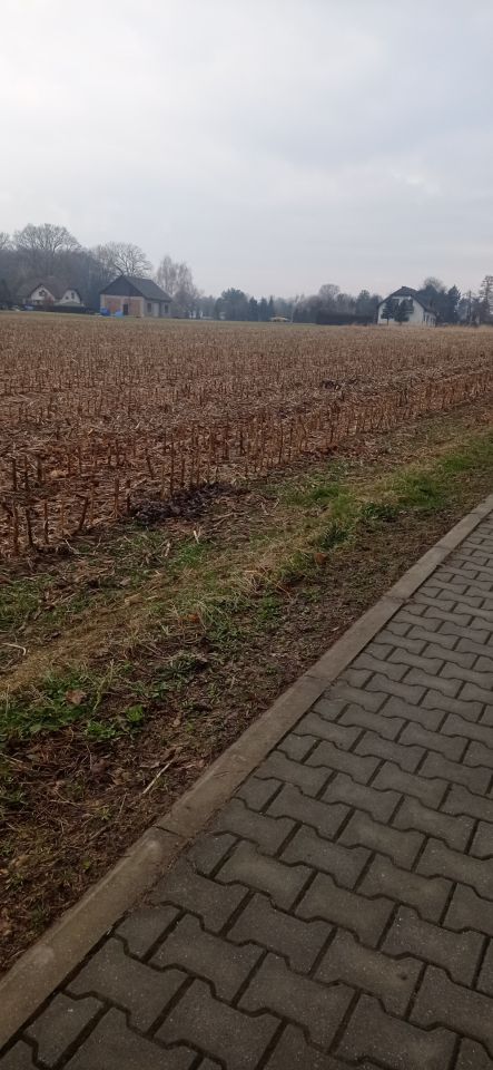 Działka budowlana Rudołtowice, ul. Wincentego Witosa. Zdjęcie 3