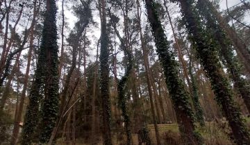 Działka budowlana Sokolniki-Las, ul. Ozorkowska
