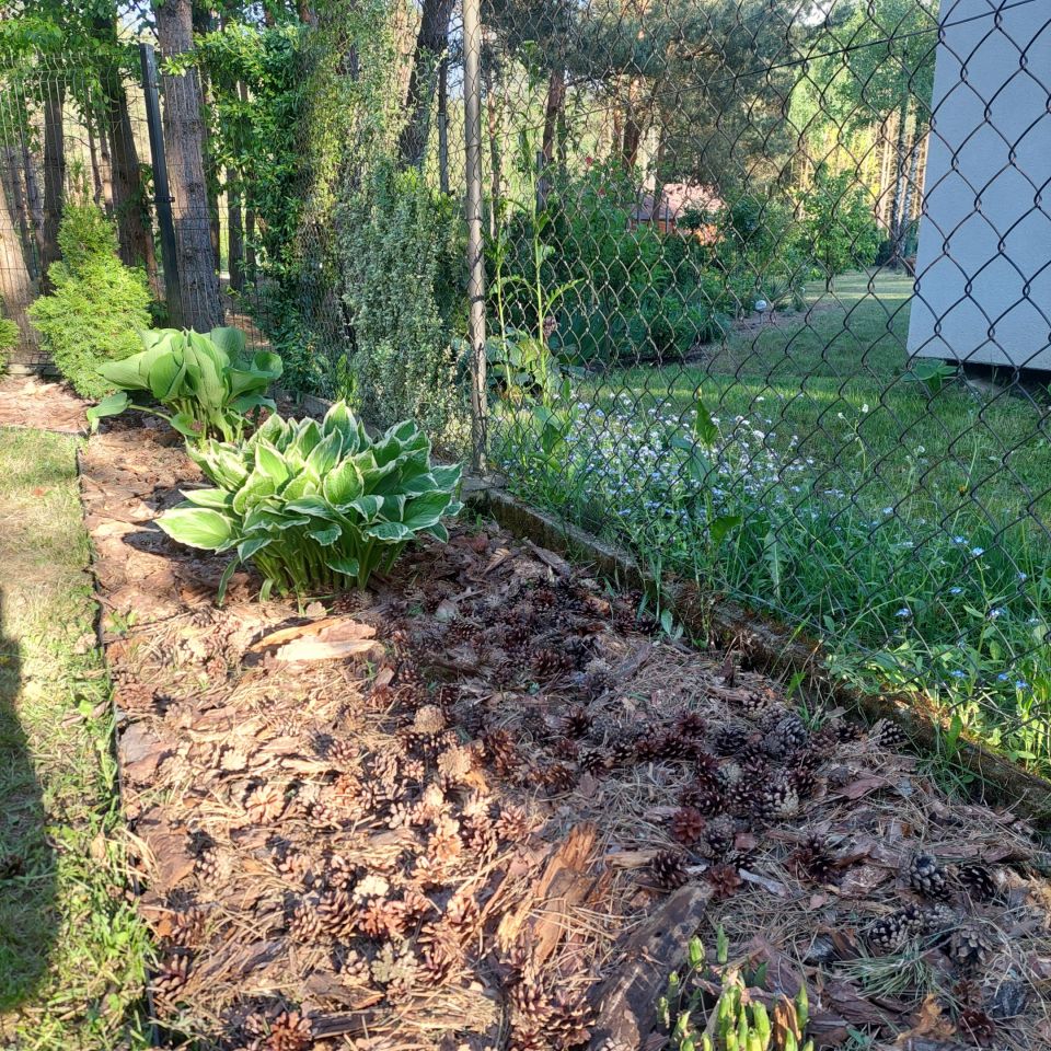 Działka budowlana Mauryców, ul. Sosnowa. Zdjęcie 21