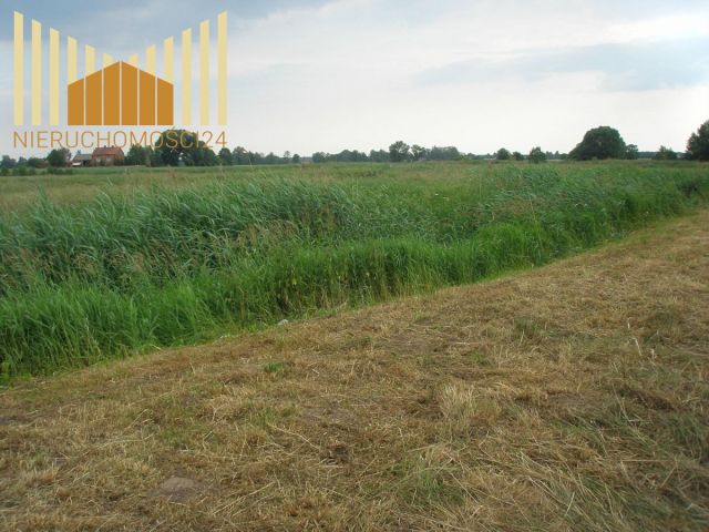 Działka rolna Siennica. Zdjęcie 4