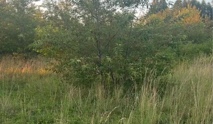 Działka rekreacyjna Wieliszew