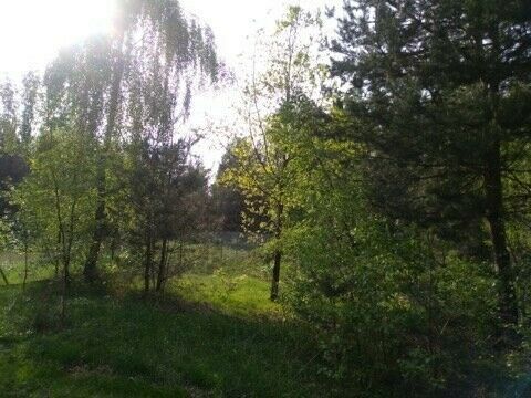 Działka budowlana Ojrzanów, ul. Tarczyńska