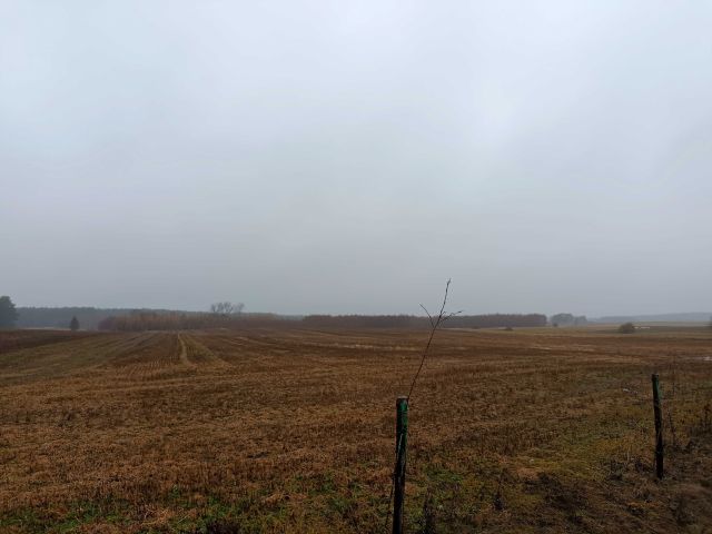 Działka rolna Brzezie. Zdjęcie 1