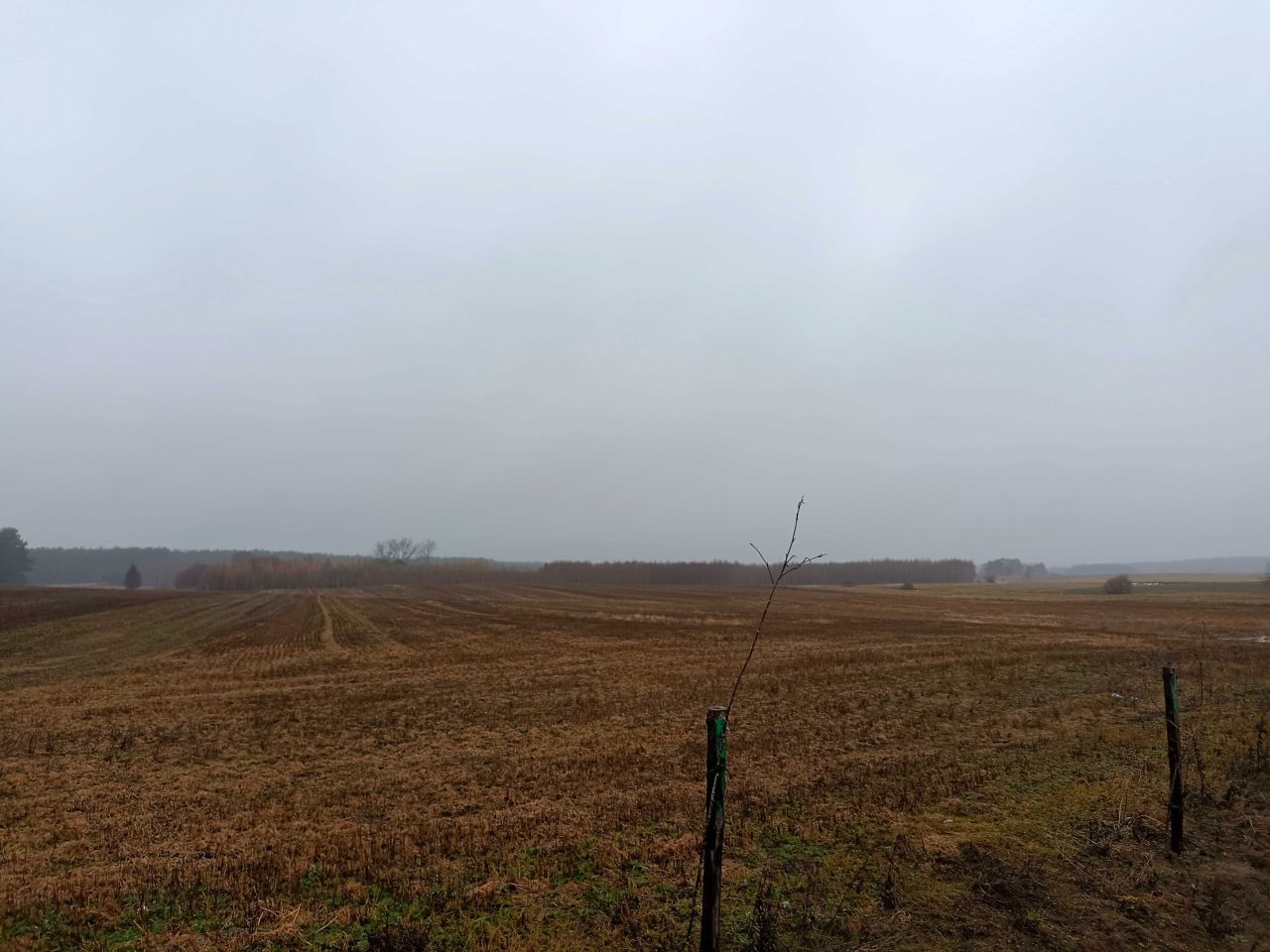 Działka rolna Brzezie