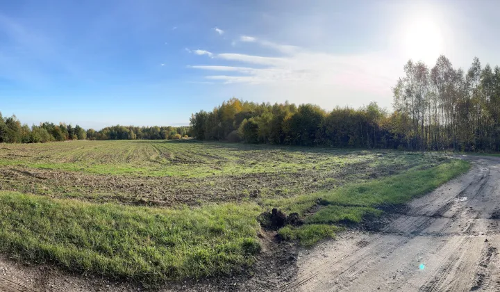 Działka rolna Borkowice, ul. Krakowa Góra