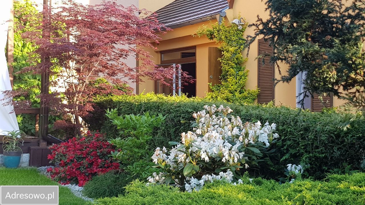 bliźniak, 5 pokoi Zielona Góra Centrum, ul. Botaniczna. Zdjęcie 2