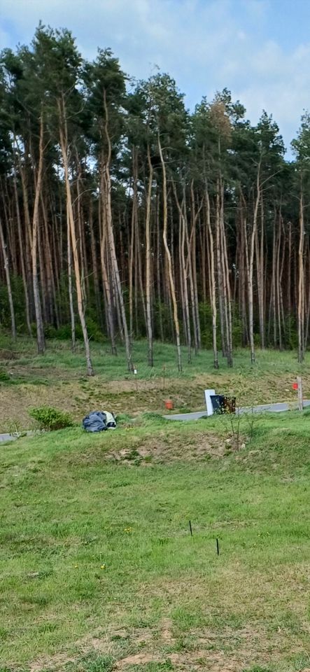 dom wolnostojący, 3 pokoje Kalina. Zdjęcie 14