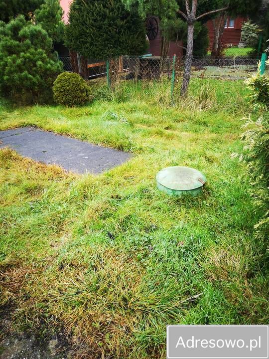 Działka rod Gdańsk Górki Zachodnie. Zdjęcie 4