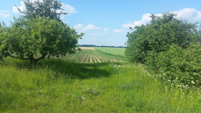 Działka rolno-budowlana Turośń Kościelna Kościelna, ul. Lipowa. Zdjęcie 1