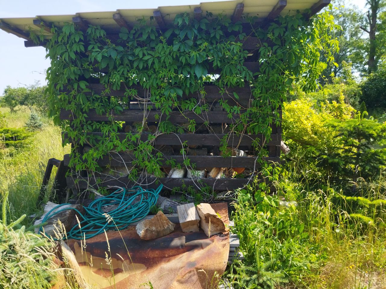 Działka budowlana Nowa Jabłona. Zdjęcie 11