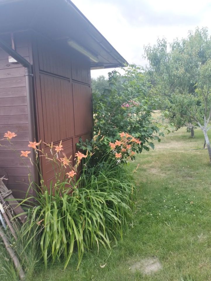 Działka rod Wolsztyn. Zdjęcie 8