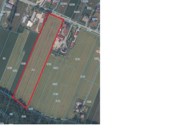 Działka inwestycyjna Radawczyk-Kolonia Pierwsza. Zdjęcie 1