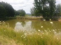 Działka budowlana Nowa Biała. Zdjęcie 1