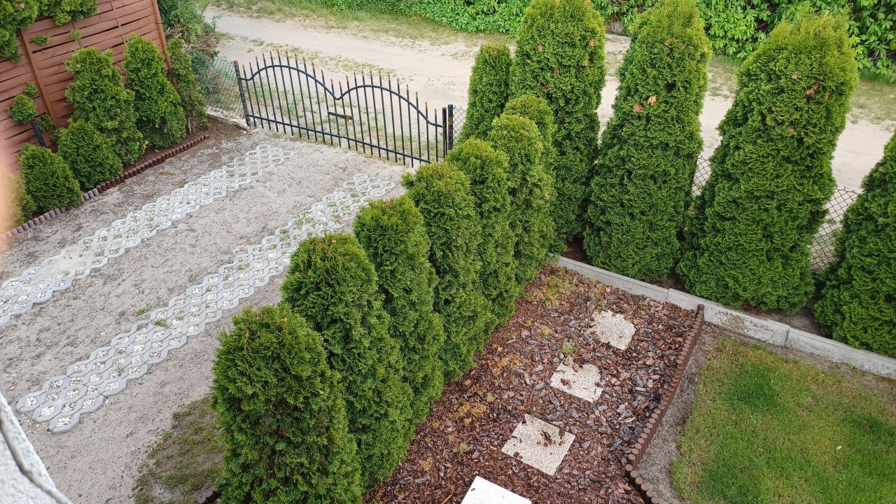 Działka rod Włocławek, ul. Spokojna. Zdjęcie 13