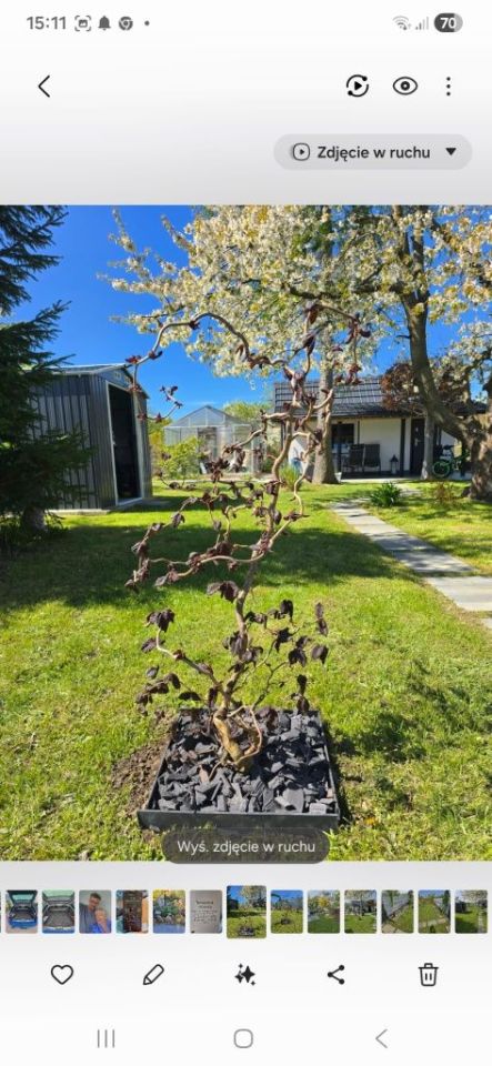 Działka rod Koszalin. Zdjęcie 6