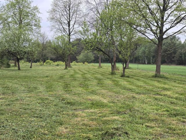 Działka budowlana Romanów. Zdjęcie 1