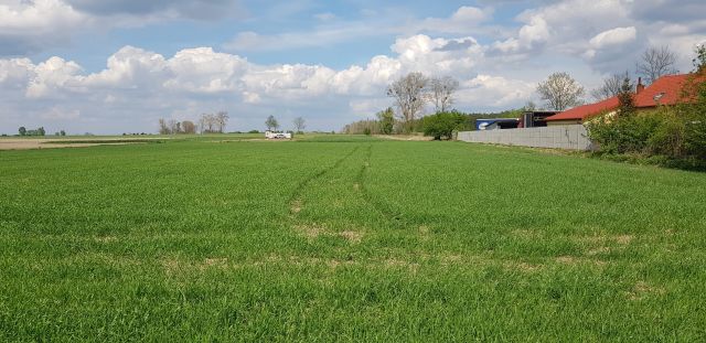 Działka rolno-budowlana Baboszewo, ul. Glinojecka. Zdjęcie 1