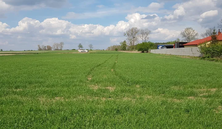 Działka budowlana Baboszewo, ul. Glinojecka