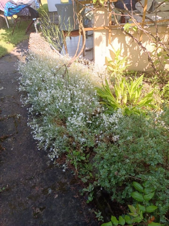 Działka rod Częstochowa Stradom. Zdjęcie 6