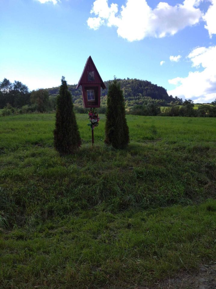 Działka rolna Lipowiec. Zdjęcie 3