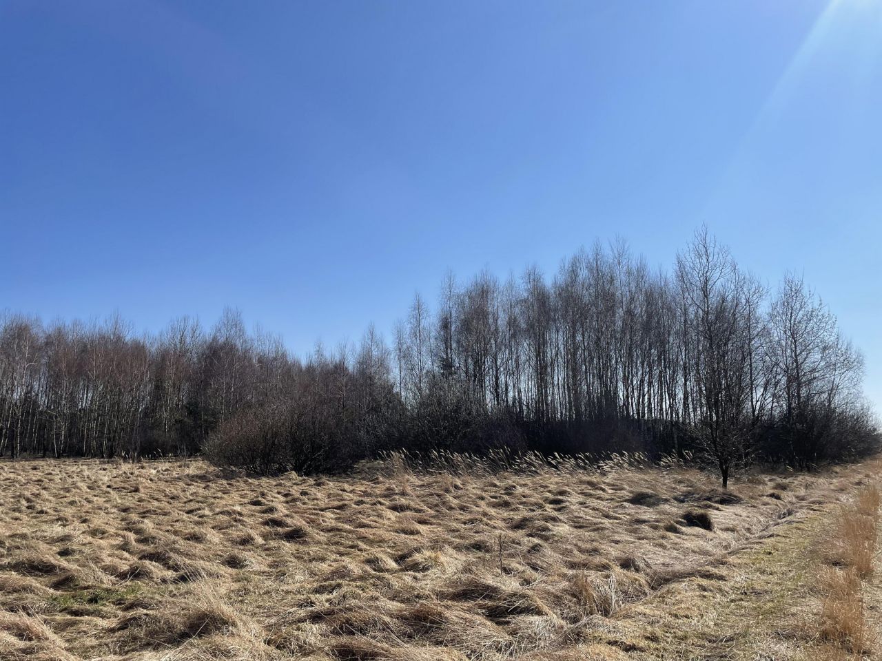 Działka rolna Zalesna. Zdjęcie 7