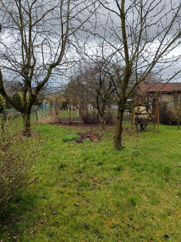 Działka rod Gierałtowice. Zdjęcie 5