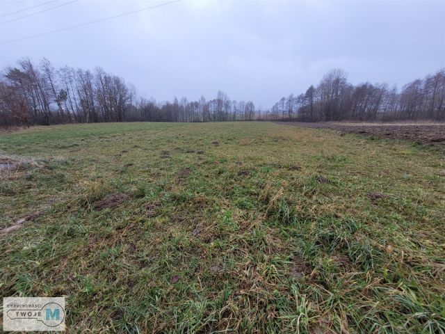 Działka rolna Bodzentyn. Zdjęcie 10