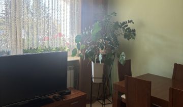 Mieszkanie 3-pokojowe Skierniewice Widok, ul. 19 Lutego