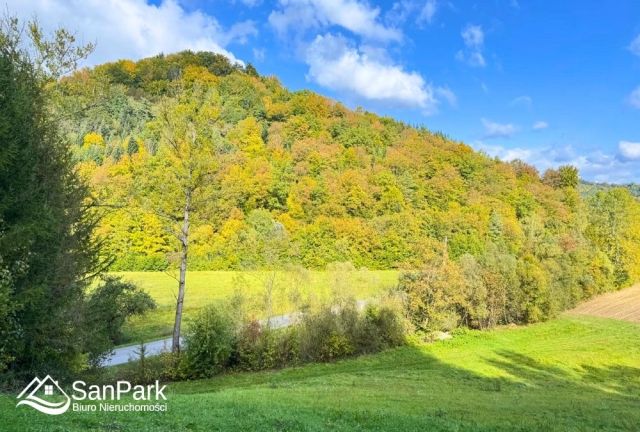 Działka rolna Wołkowyja. Zdjęcie 11