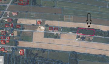 Działka siedliskowa Konopnica