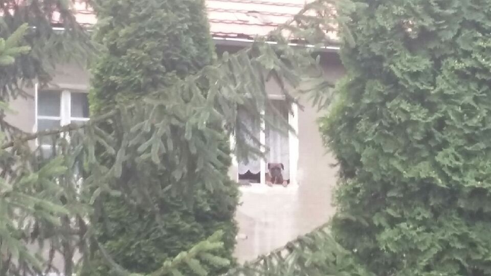 inny, 5 pokoi Sady Górne, Sady Górne. Zdjęcie 2