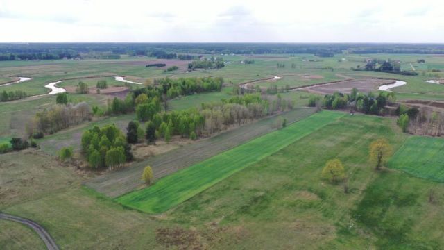 Działka rolno-budowlana Cieciory. Zdjęcie 6