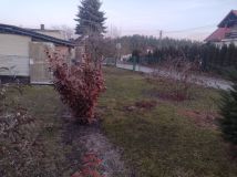 Działka siedliskowa Górna Grupa, ul. Piaskowa. Zdjęcie 2