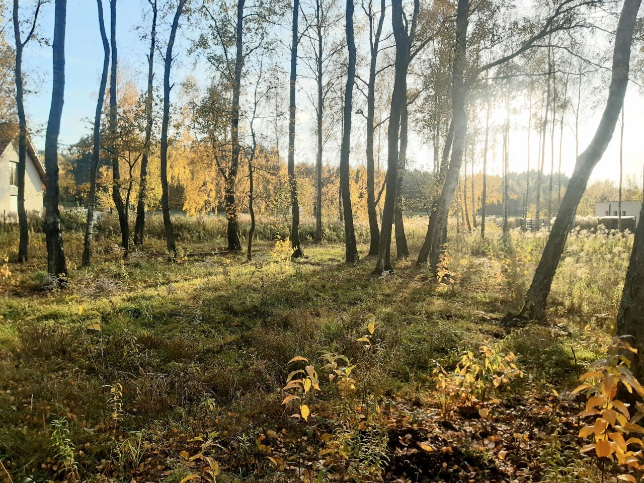 Działka budowlana Bukowiec, ul. Bukowa. Zdjęcie 5