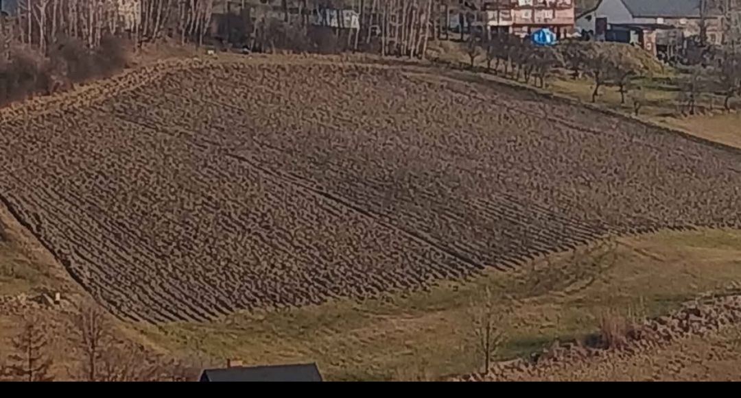 Działka rolna Lipie. Zdjęcie 3