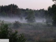 Działka budowlana Lipka. Zdjęcie 3
