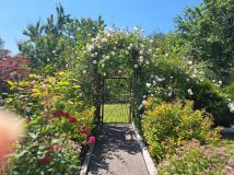 Działka rod Zabrze Biskupice, ul. Wojciecha Drzymały. Zdjęcie 3