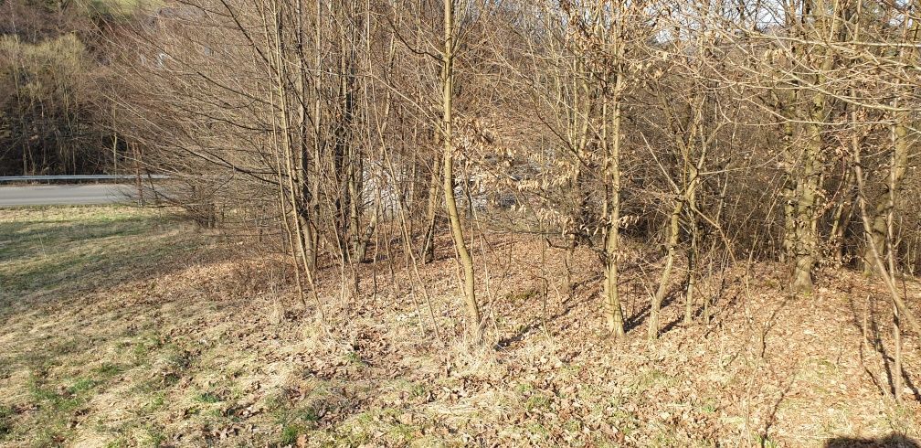 Działka rolna Tarnawa Dolna. Zdjęcie 5