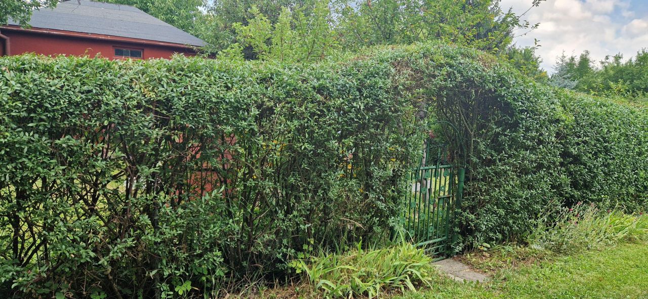 Działka rod Zawiercie Marciszów, ul. Rekreacyjna. Zdjęcie 11